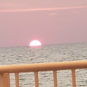 Meet your Posher, Darla